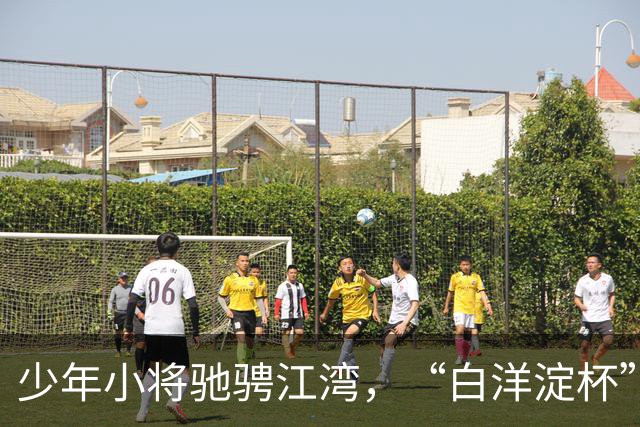 少年小将驰骋江湾，“白洋淀杯” 国际少年足球赛架起中外交流桥梁