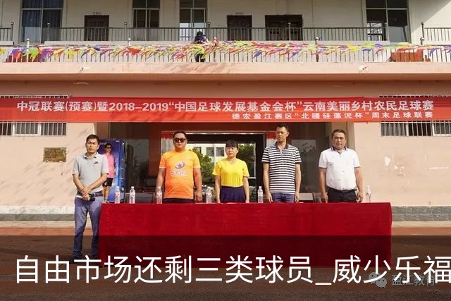 自由市场还剩三类球员 威少乐福领衔失业大军？